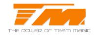 Buggy RC TEAM Magic